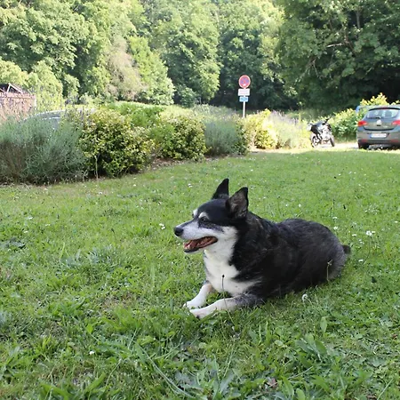 Zum Vierbeiner Apartment