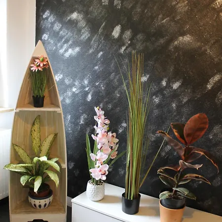 Zum Vierbeiner Apartment Pirna